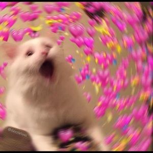 Meet your Posher, Ben